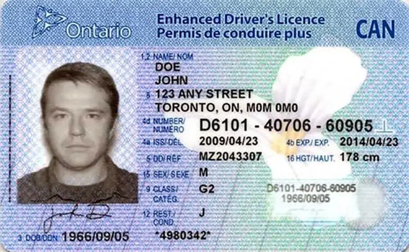 Specimen Ontario driver licence card showing the licence number position